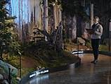 Dorengo Multimedia Guide im Brocken Museum