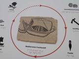Virtuell abgetaucht im Museum für Antike Schifffahrt