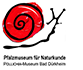 Logo Pfalzmuseum für Naturkunde Bad Dürkheim