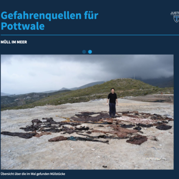 JLU Giessen - Teacher training with the tuomi digital guide